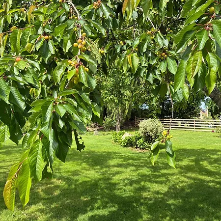 Dom wakacyjny Au Bon Accueil Therence Sainte-Thérence