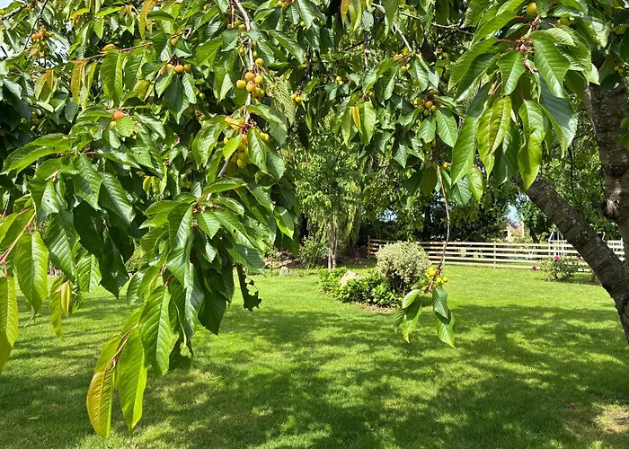 Vakantiehuis Au Bon Accueil Therence Sainte-Thérence